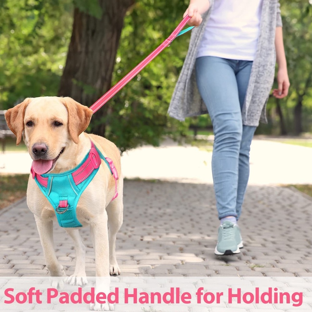 Harness  Size Small and 5 feet Leash for a dog